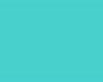 Color Number 591