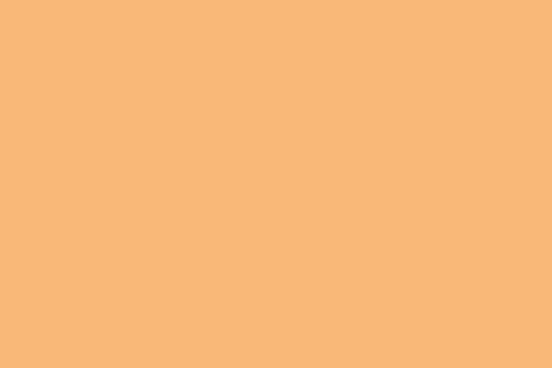 Mellow Apricot Color 