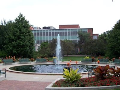 Michigan State University Green