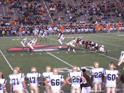 Princeton University Orange