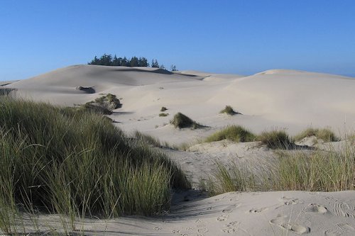 Sand Dune