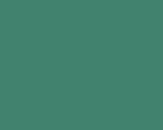 Color Number 998