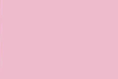 Cameo Pink Color 