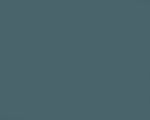 Color Number 303