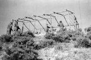 Jade Relay Number 2 Shed Construction