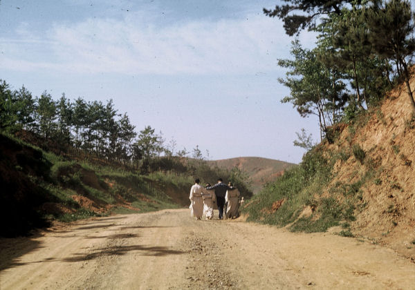 Tacoma road ridge