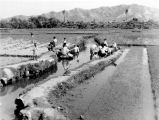 Kumi Village Laundry