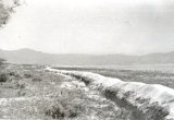 Trenches along Beach