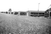 Barracks at Camp Woods, New Jersey