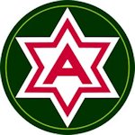 6th Army Patch