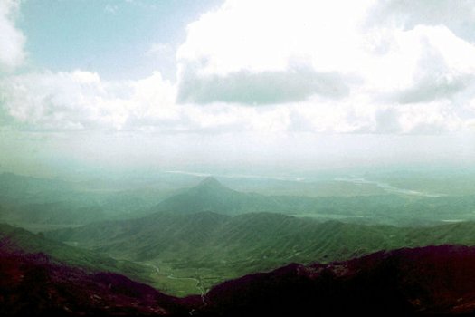 Looking South from Beason Site