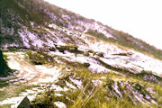 Access Road