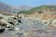 Brook at Bottom