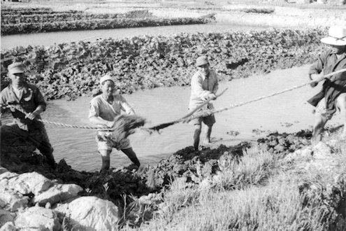  7 - Three Man Shovel