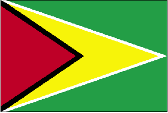  Flag for Guyana