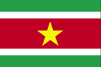  Flag for Suriname