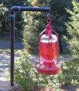 Hummingbird Feeder