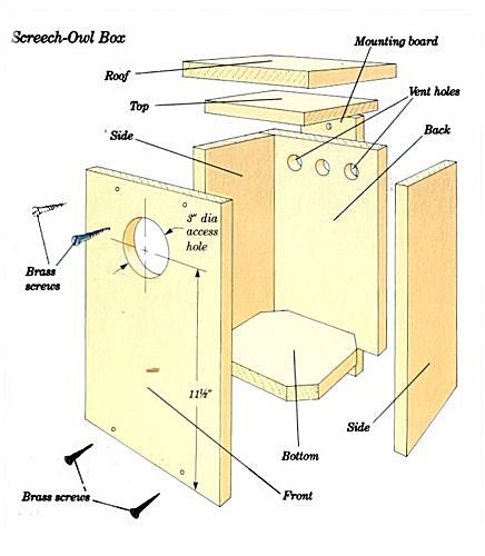 Screech Owl Nest Box Plans