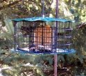 Suet Cage