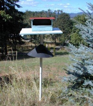 Sunflower Seed Feeder