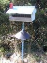 Bird Feeder with Song Bird Mix