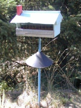 Song Bird Mix Feeder