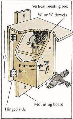 Nighttime Shelter for Winter Birds - Bird Roost Plan Two