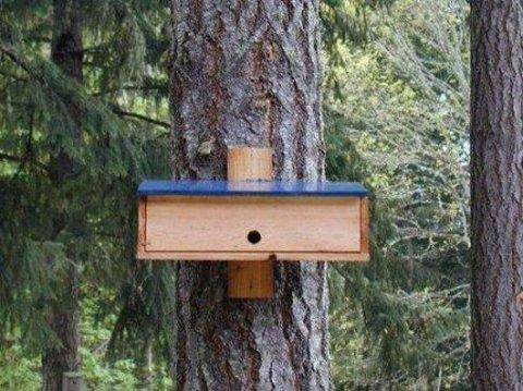 Nighttime Shelter for Winter Birds - Bird Roost