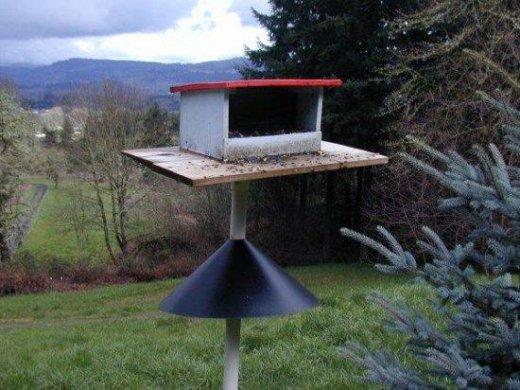 Song Bird Mix Feeder