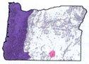 Purple Finch range