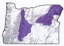 Clark's Nutcracker range