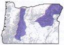 Black-backed Woodpecker range