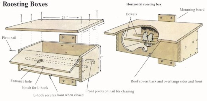 Wood Bird Roosting House Plans PDF Plans