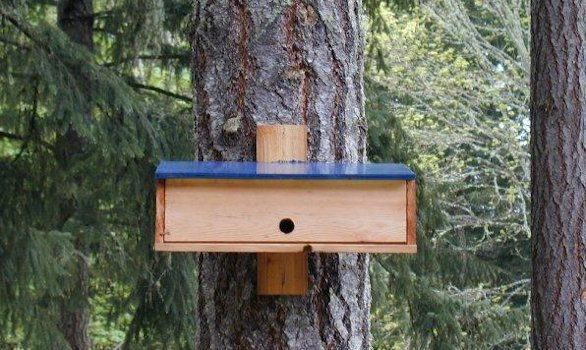 Nighttime Shelter for Winter Birds - Bird Roost