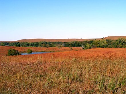 Grasslands Ecosystem