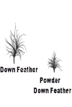 Down Feathers