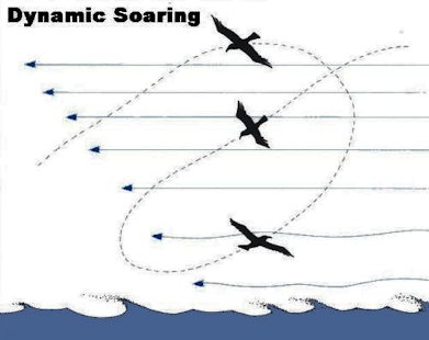 Dynamic Soaring Diagram