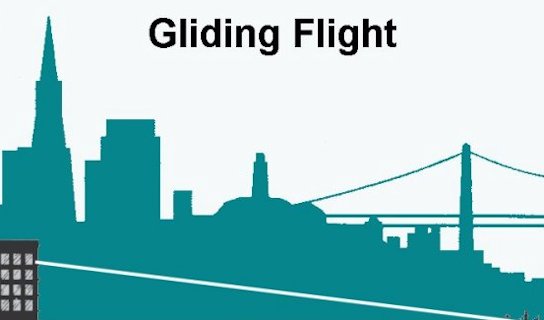 Gliding Flight Diagram