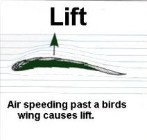 Lift Diagram 1