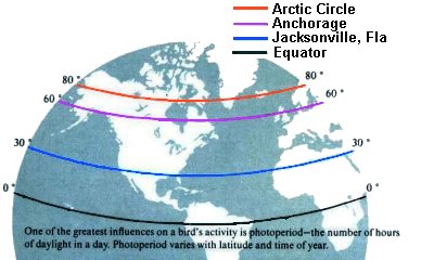 Daylight Hours Chart By Latitude