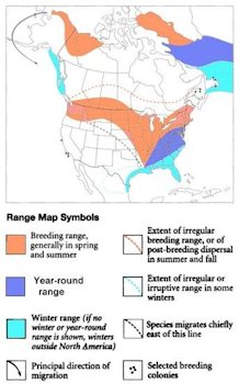 Range Chart