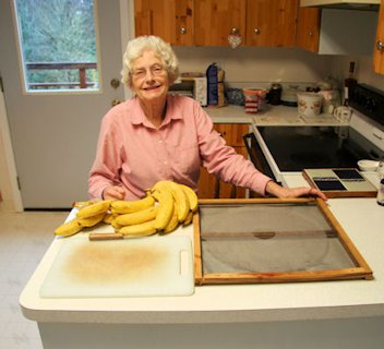 Dried Bananas