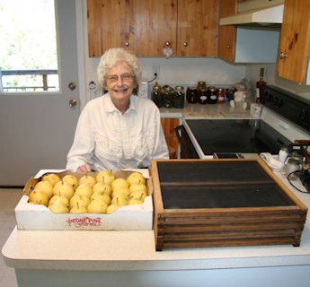 Asian Pears