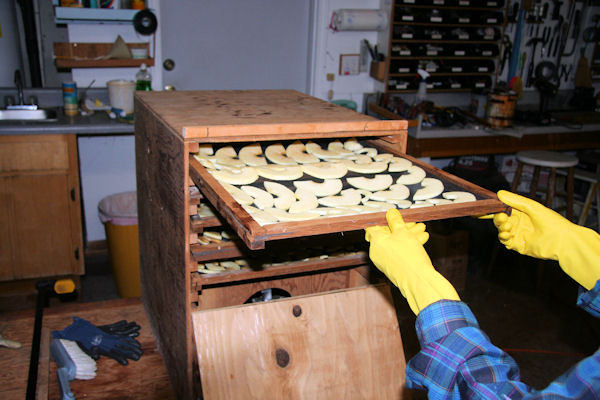 Step 10 - Loaded Tray into the Dehydrator