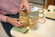 Dried Apples, Step 17