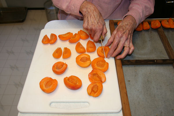 Step 4 - Cut Halves in Half