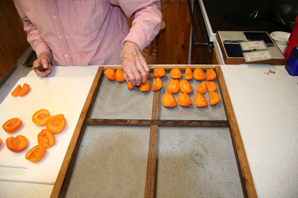 Step 5 - Fill Tray