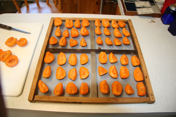 Step 7 - Filled Tray