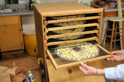 Dried Onions, Step 11