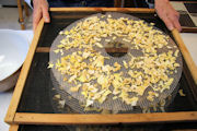 Dried Onions, Step 13